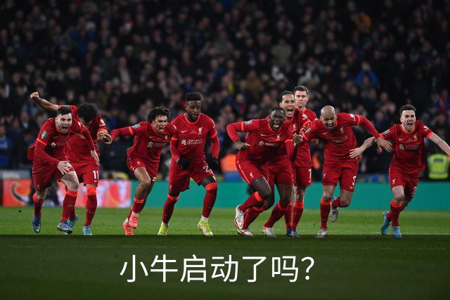 小牛启动了吗？